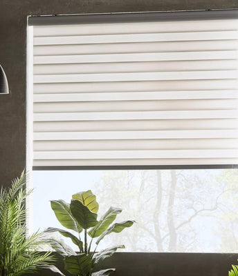 Curtains & Blinds