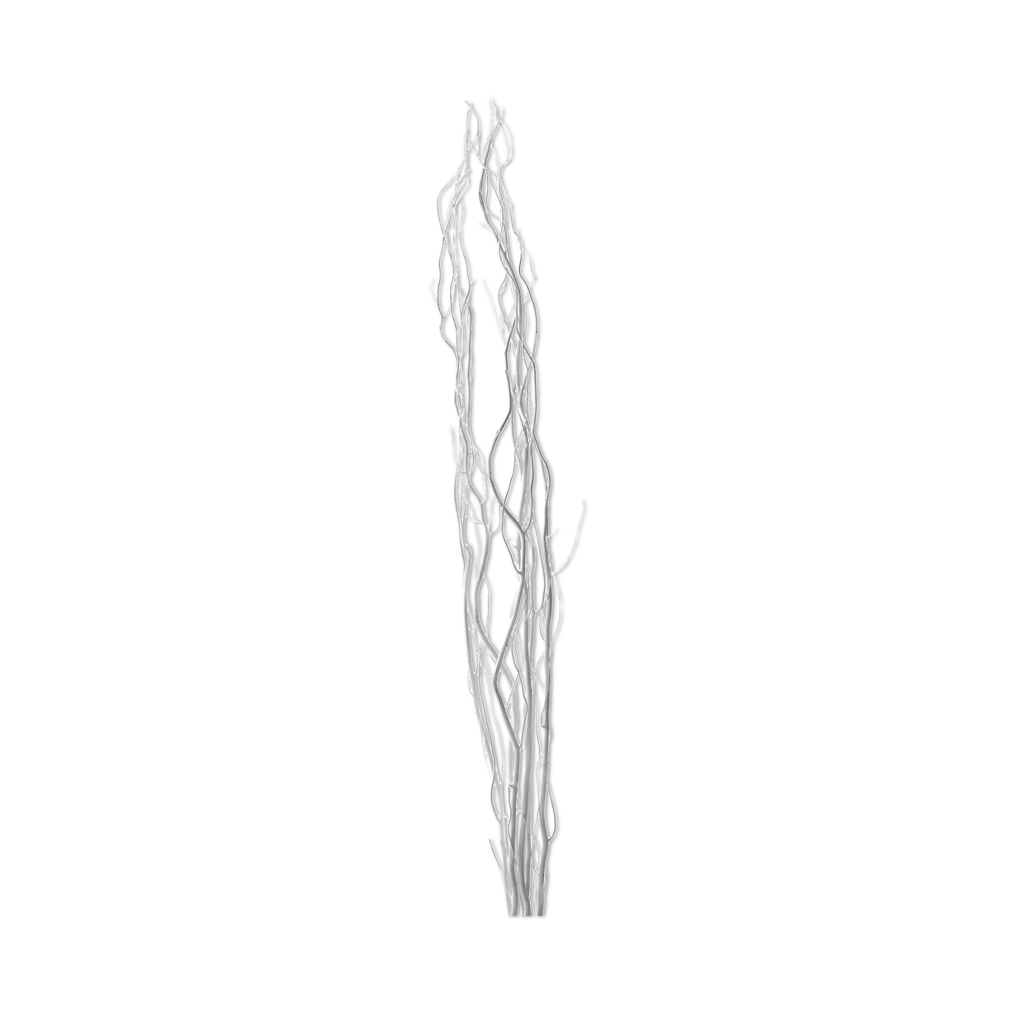 White Branches