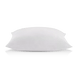 Blanc de base
