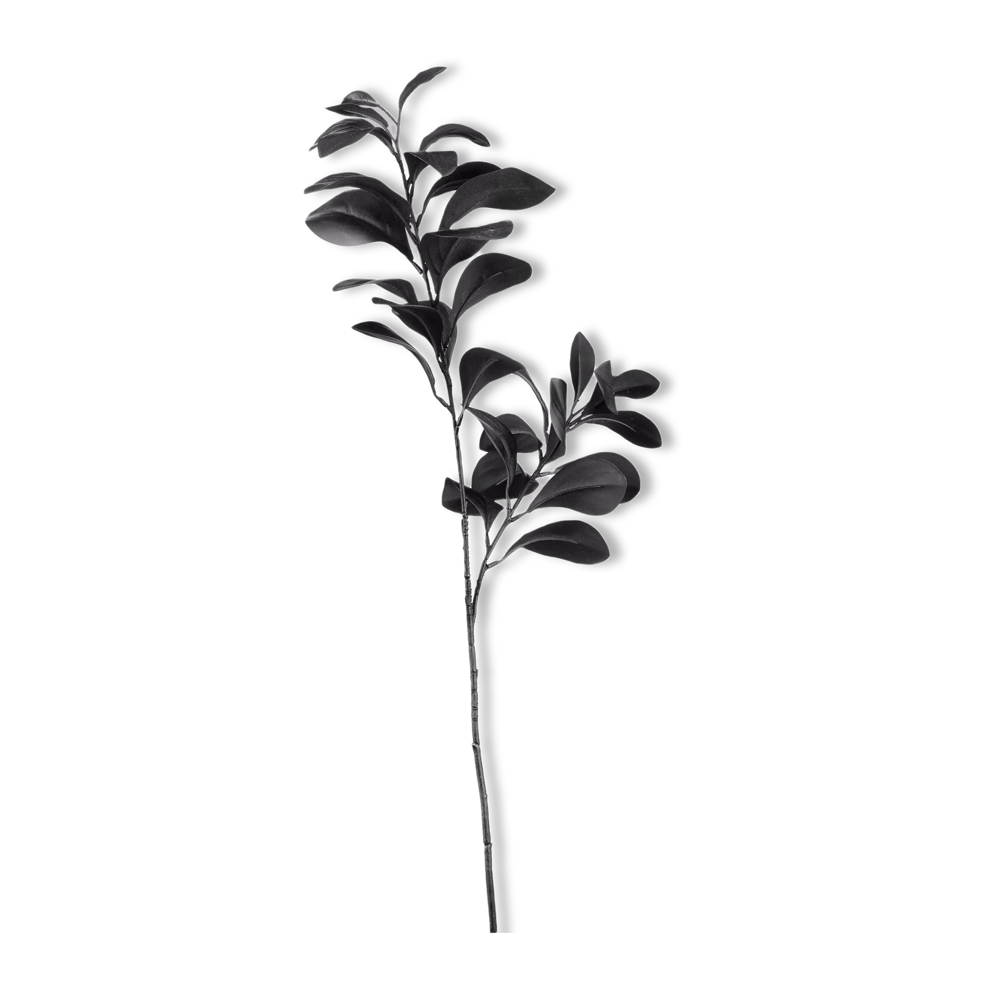 Black Leaves