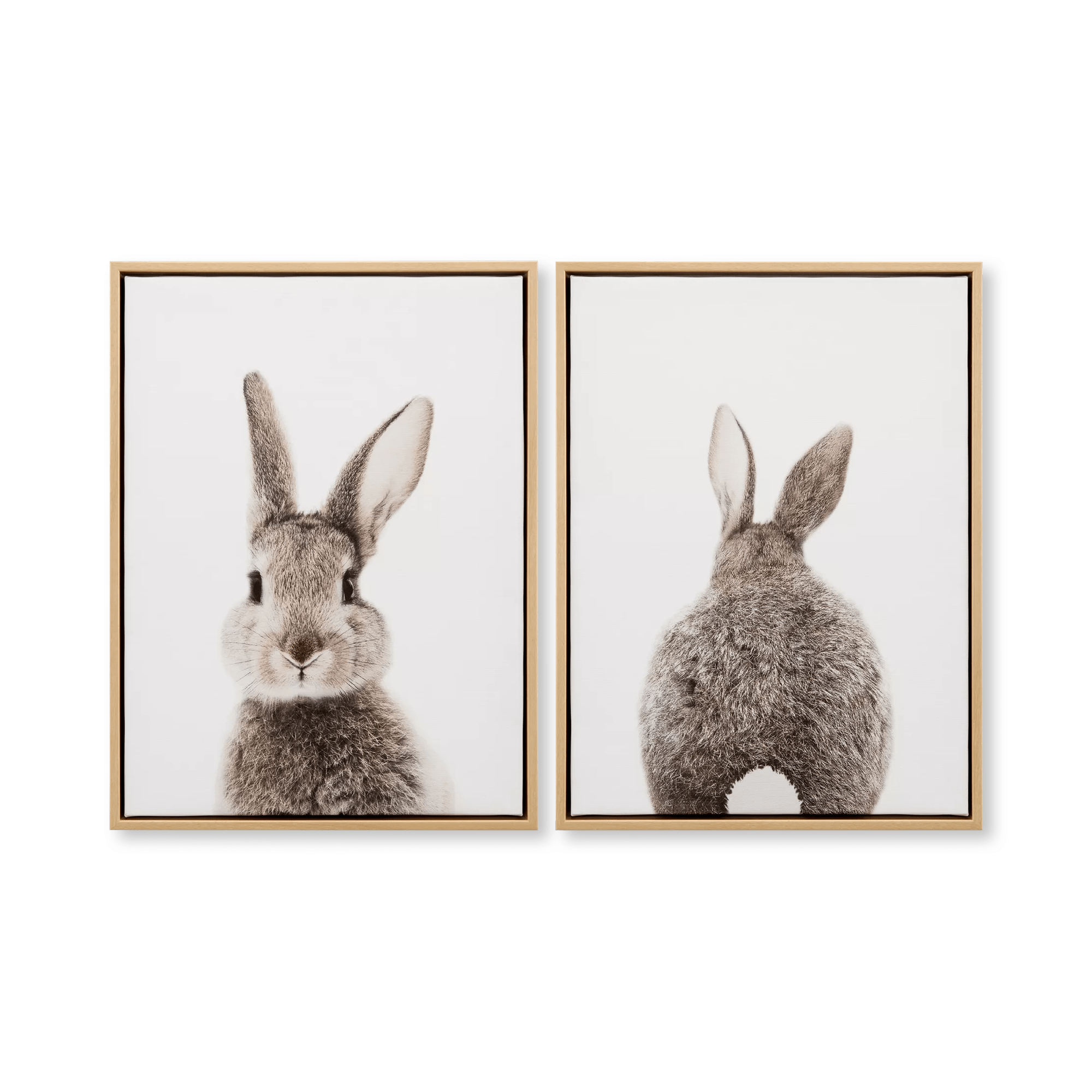 Ensemble de 2 tableaux muraux encadrés lapin