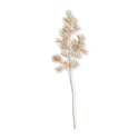 Branche de feuilles sauvages beige