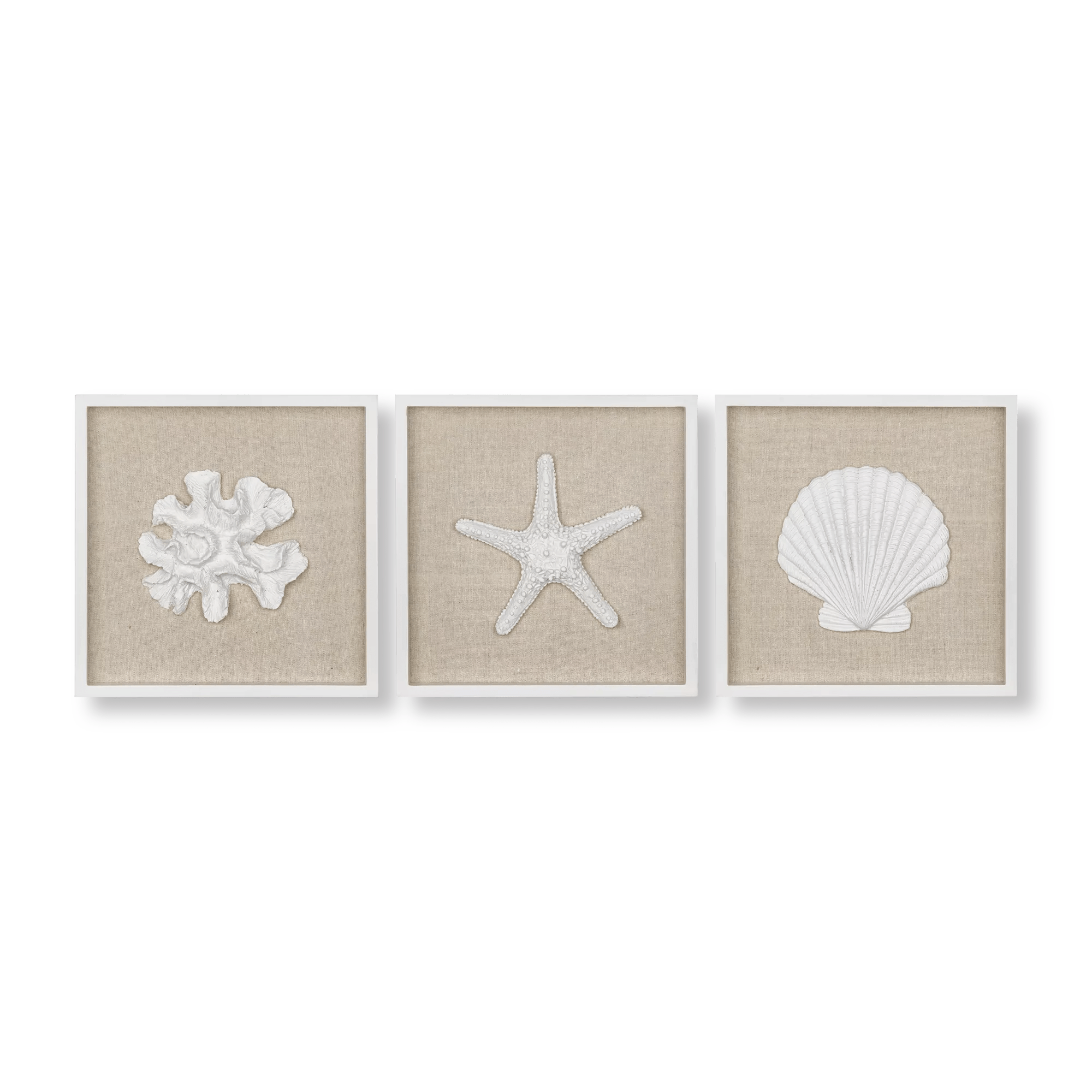 Ensemble de 3 tableaux encadrés coquillages
