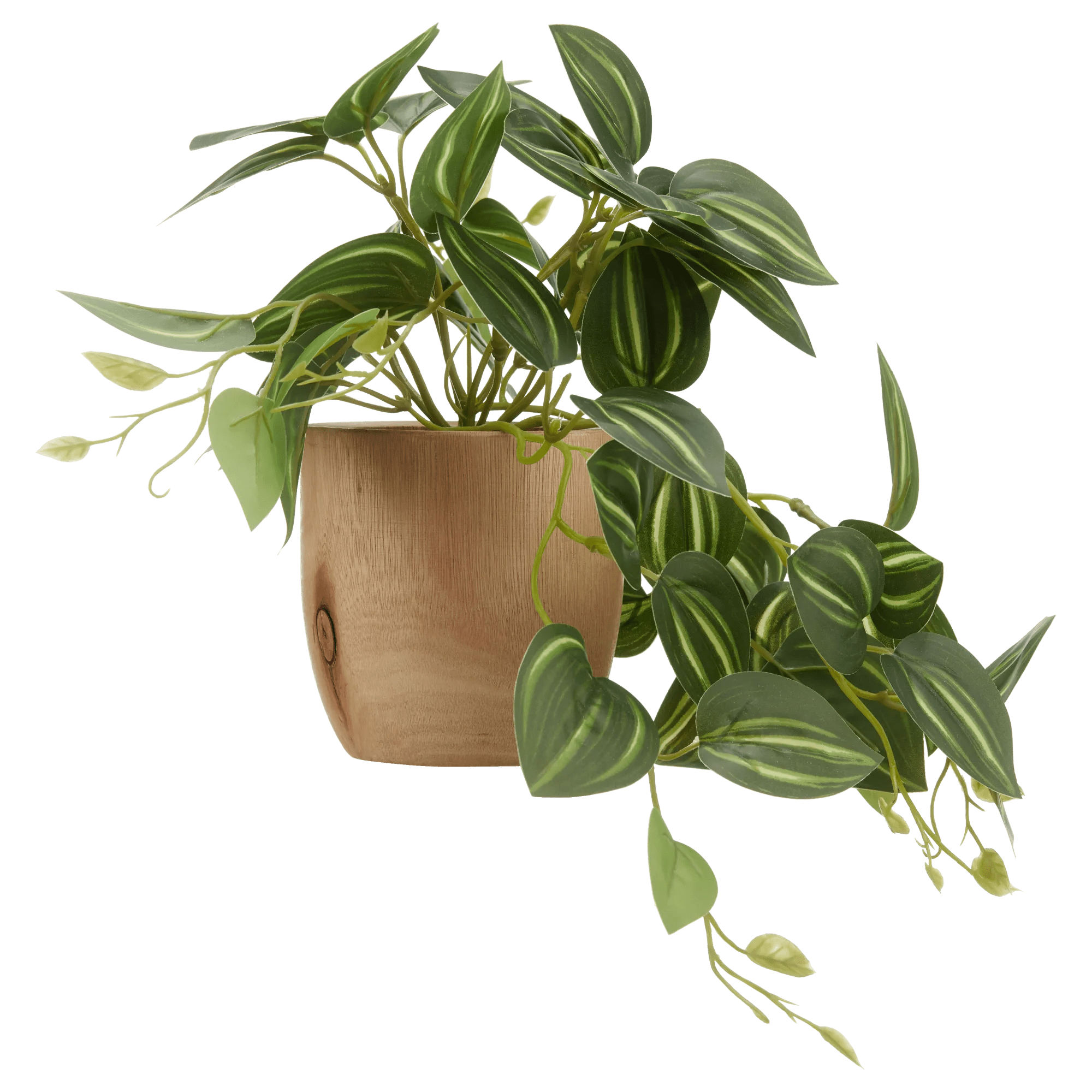 Fittonia artificiel en Pot de bois