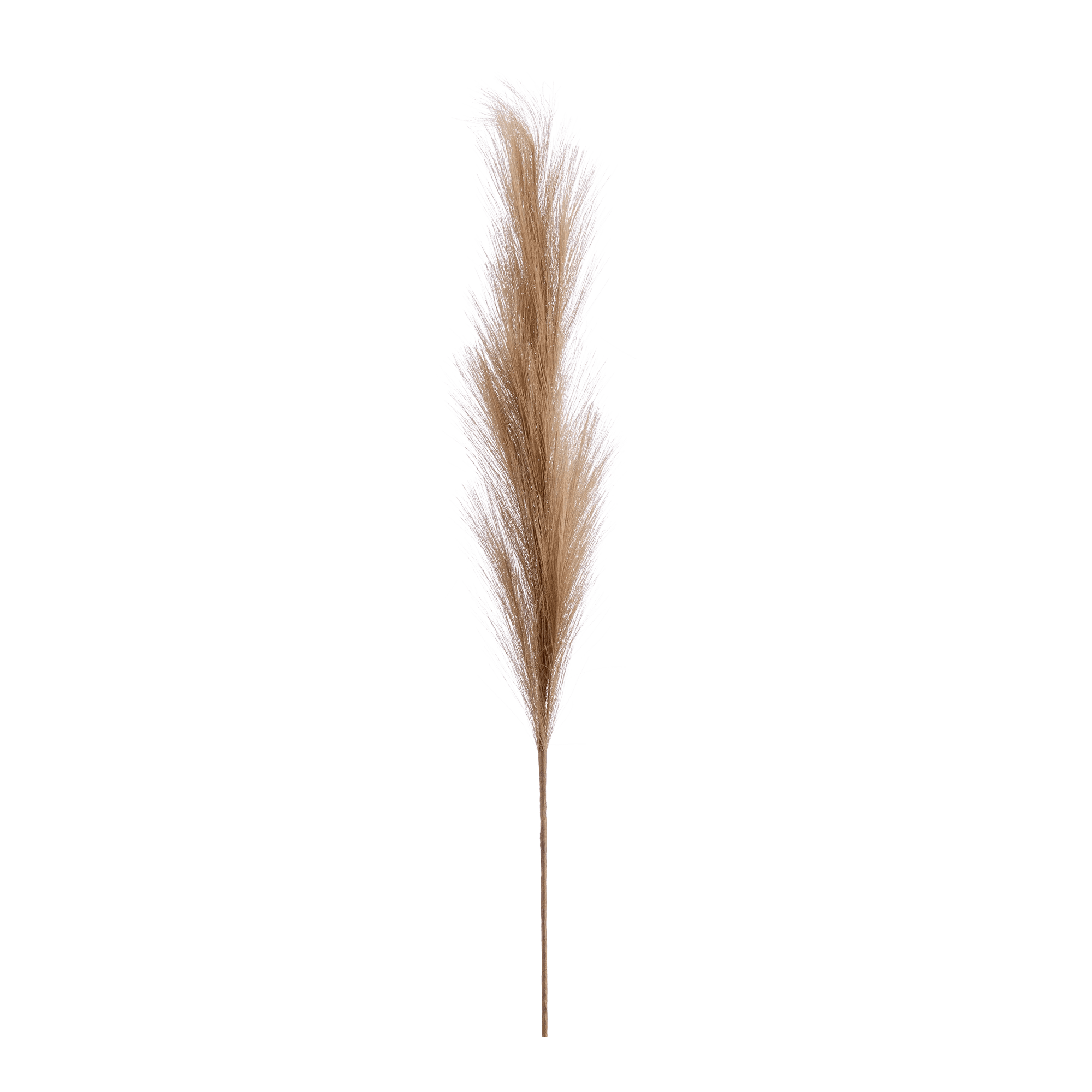 Pampas