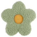 Sage Fabulous Decorative Pillow