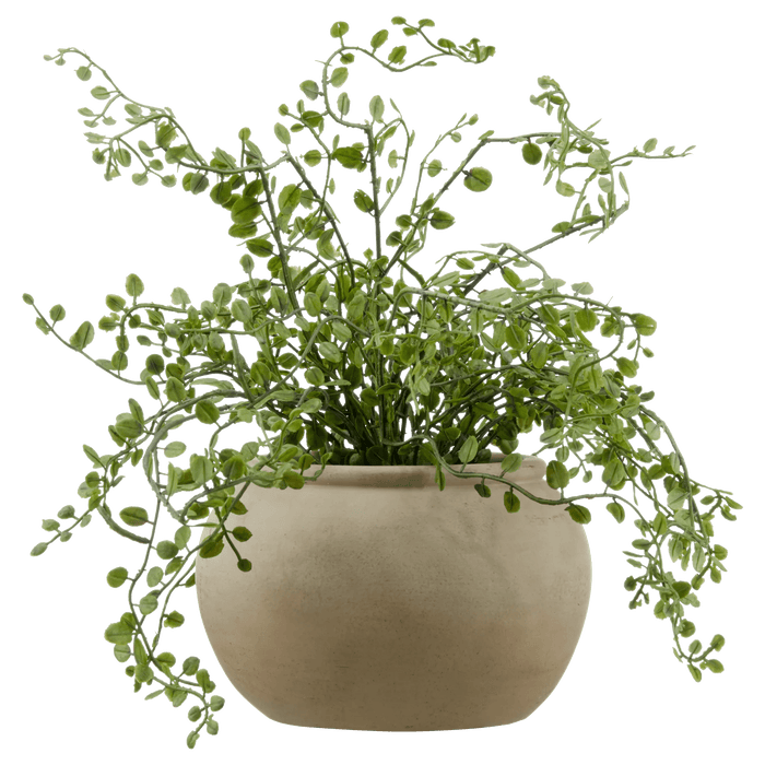 Artificial Fern
