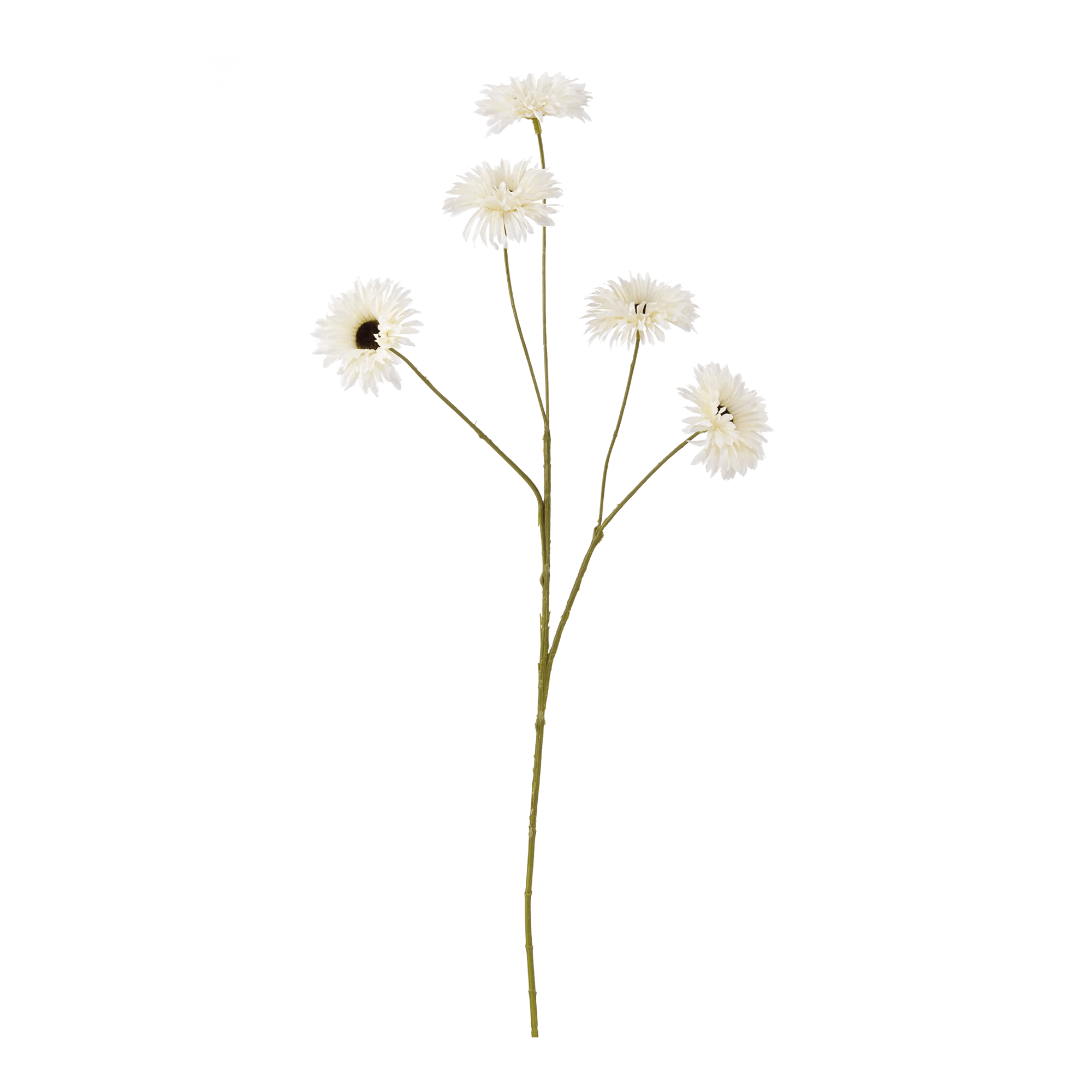 Artificial Daisy