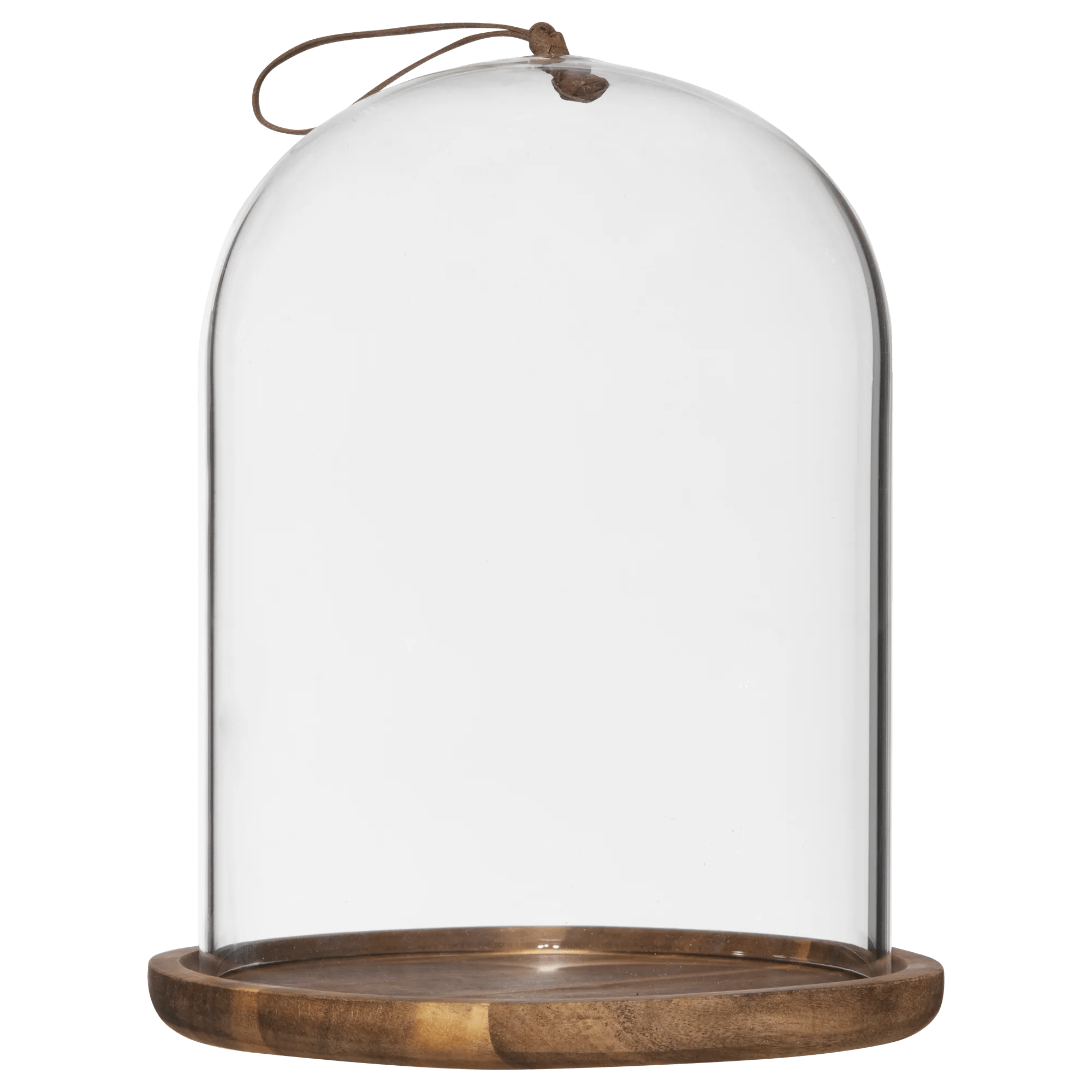 Cloche en verre avec Base en bois