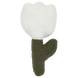 Blanc cassé