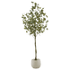 Vert