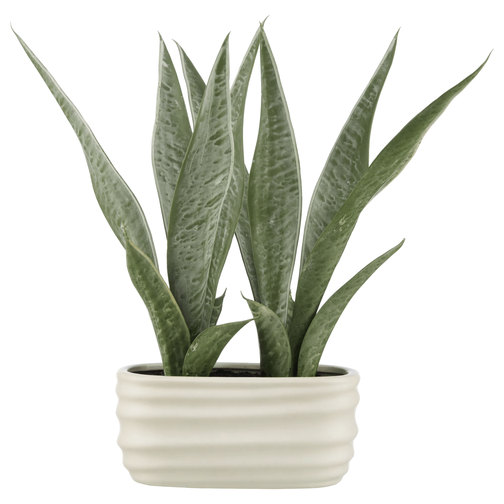Plante artificielle dans un Pot en céramique