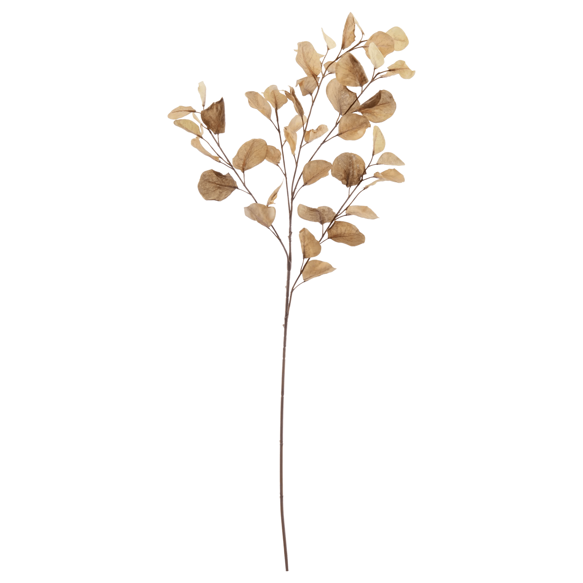 Tige d'Eucalyptus artificielle