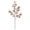 Branche de feuilles sauvages brun