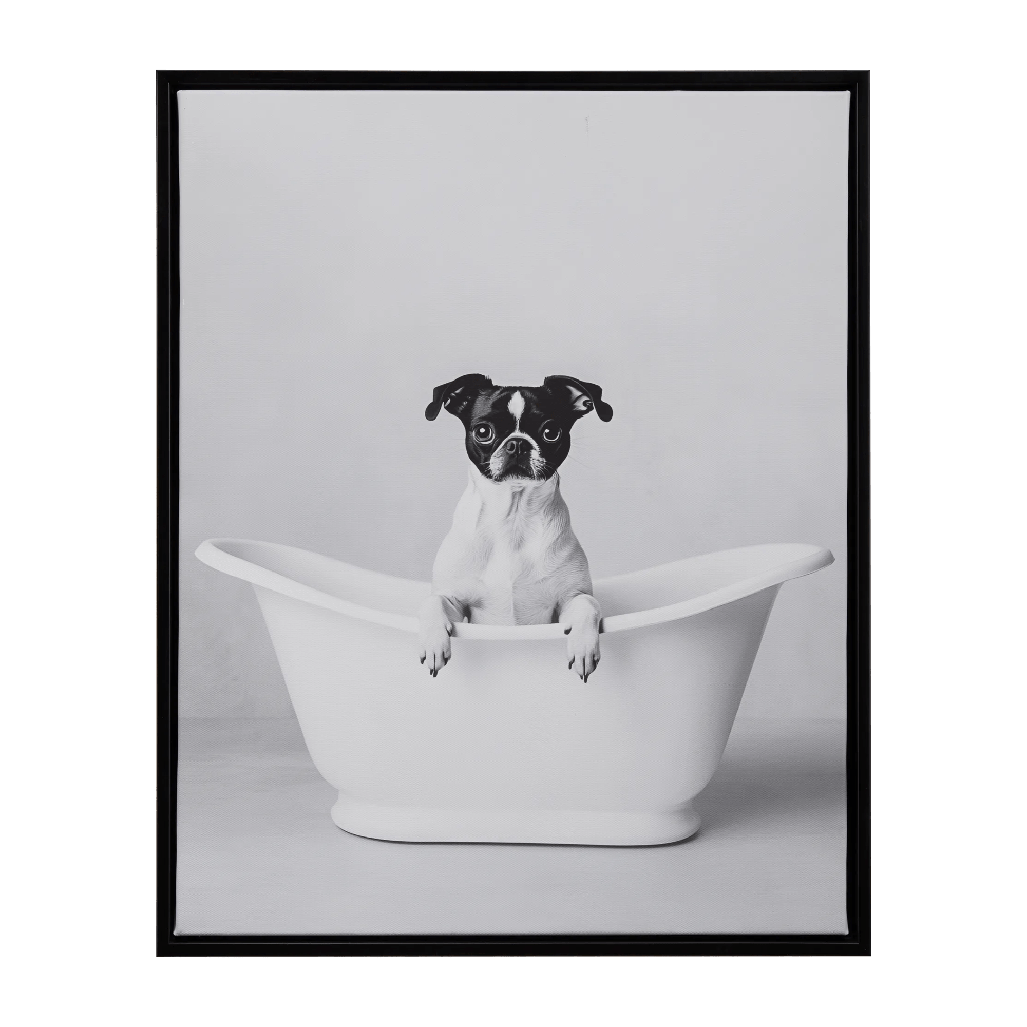 Tableau encadré petit chien dans un bain
