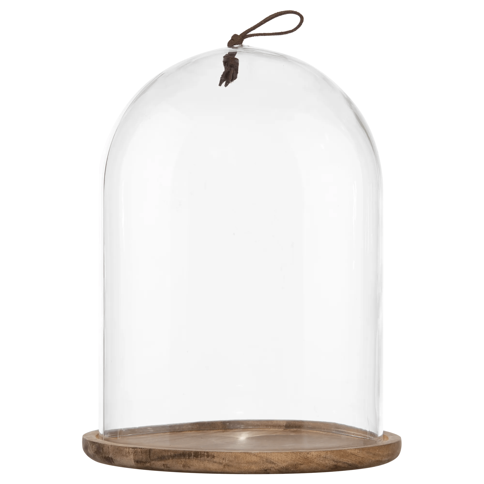 Dôme en verre avec base en acacia