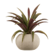 Beige pale