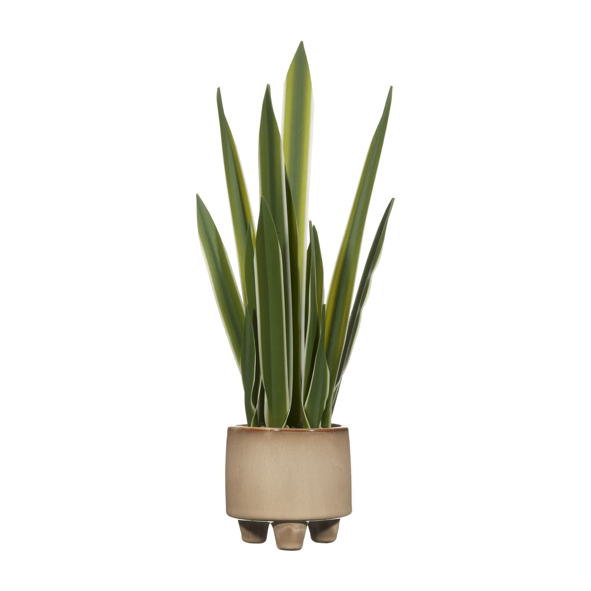 Yucca artificielle dans un Pot en céramique