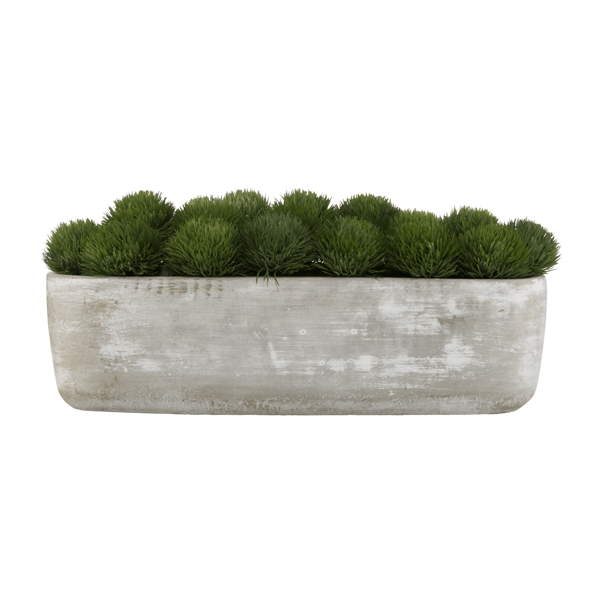 Mousse artificielle dans un Pot en ciment