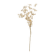 Blanc cassé