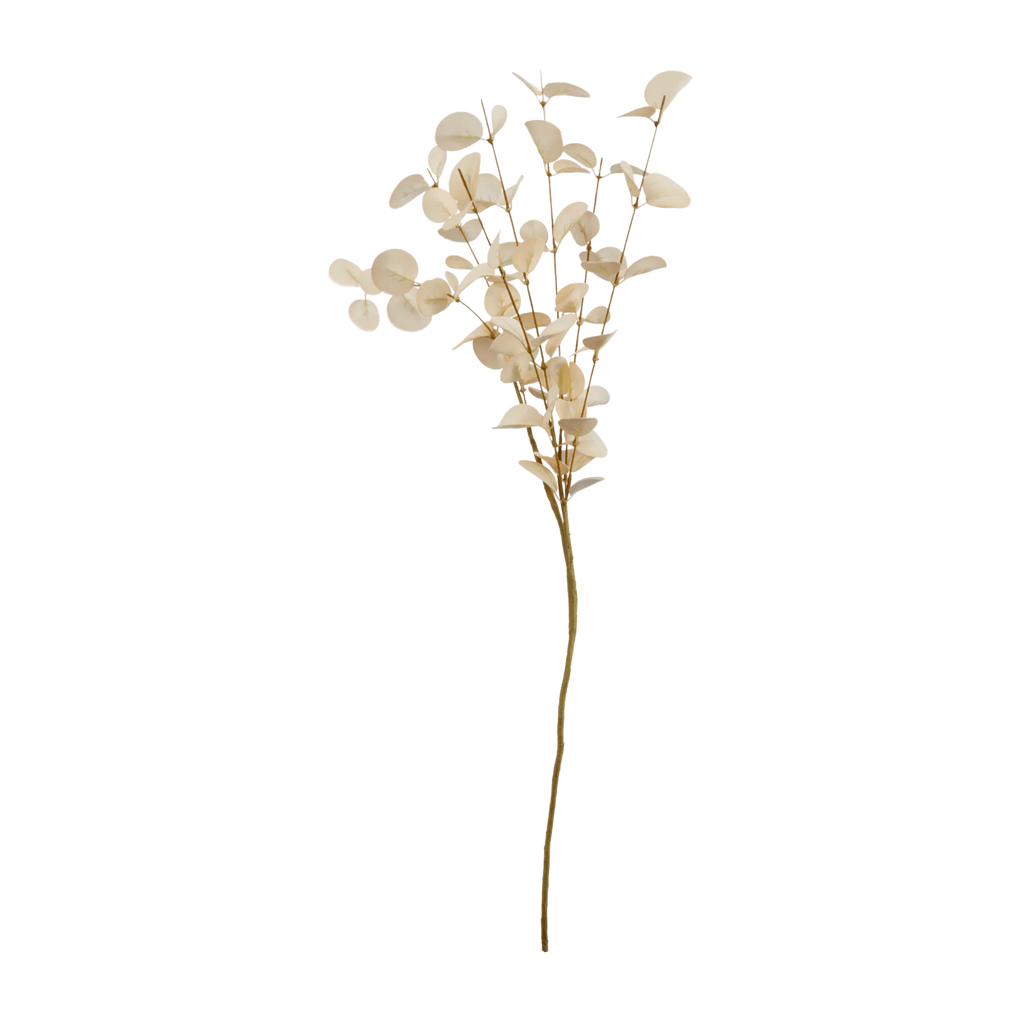 Tige artificielle de feuille d'Eucalyptus