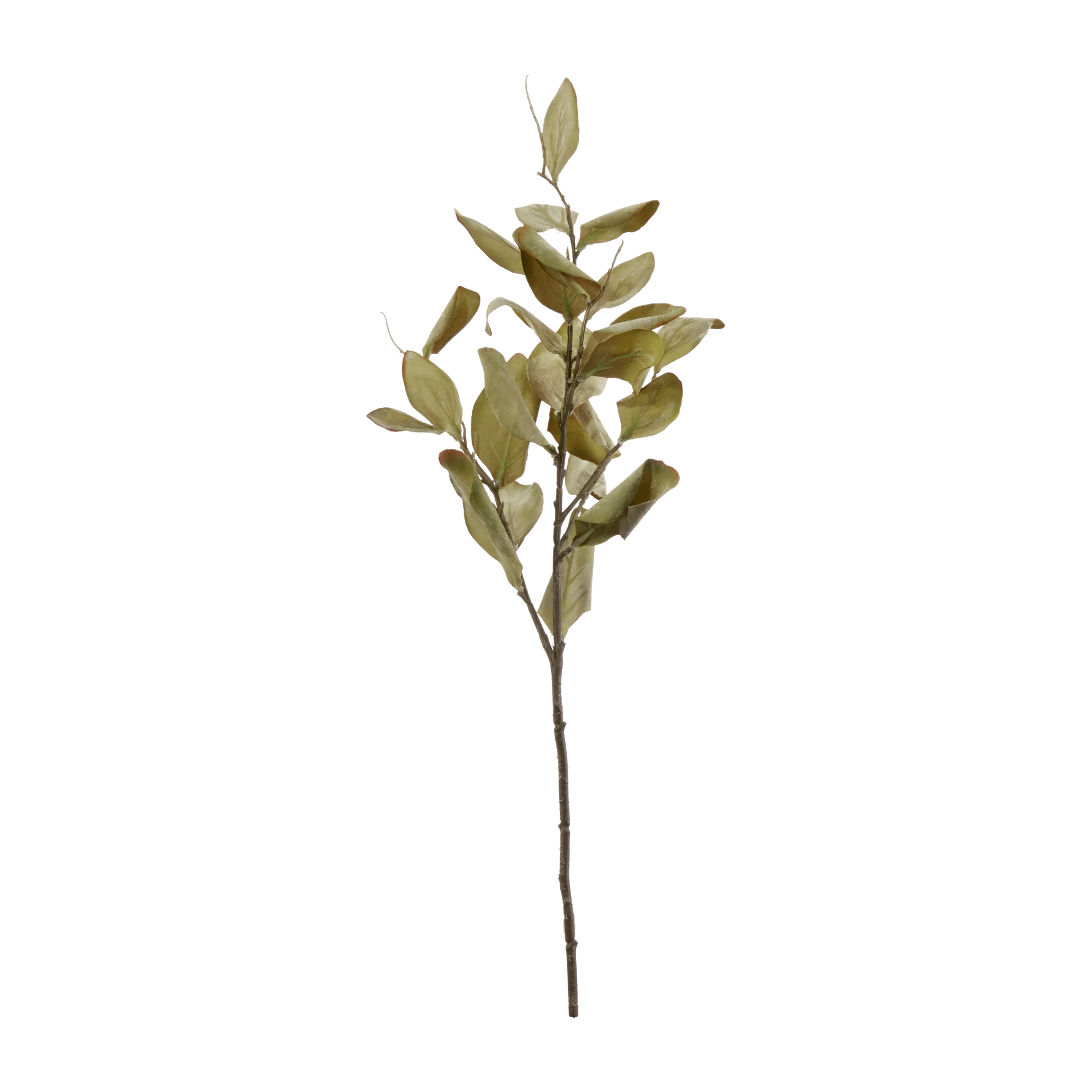 Tige artificielle de feuille de Magnolia