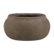 Medium Brown