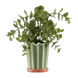 Vert