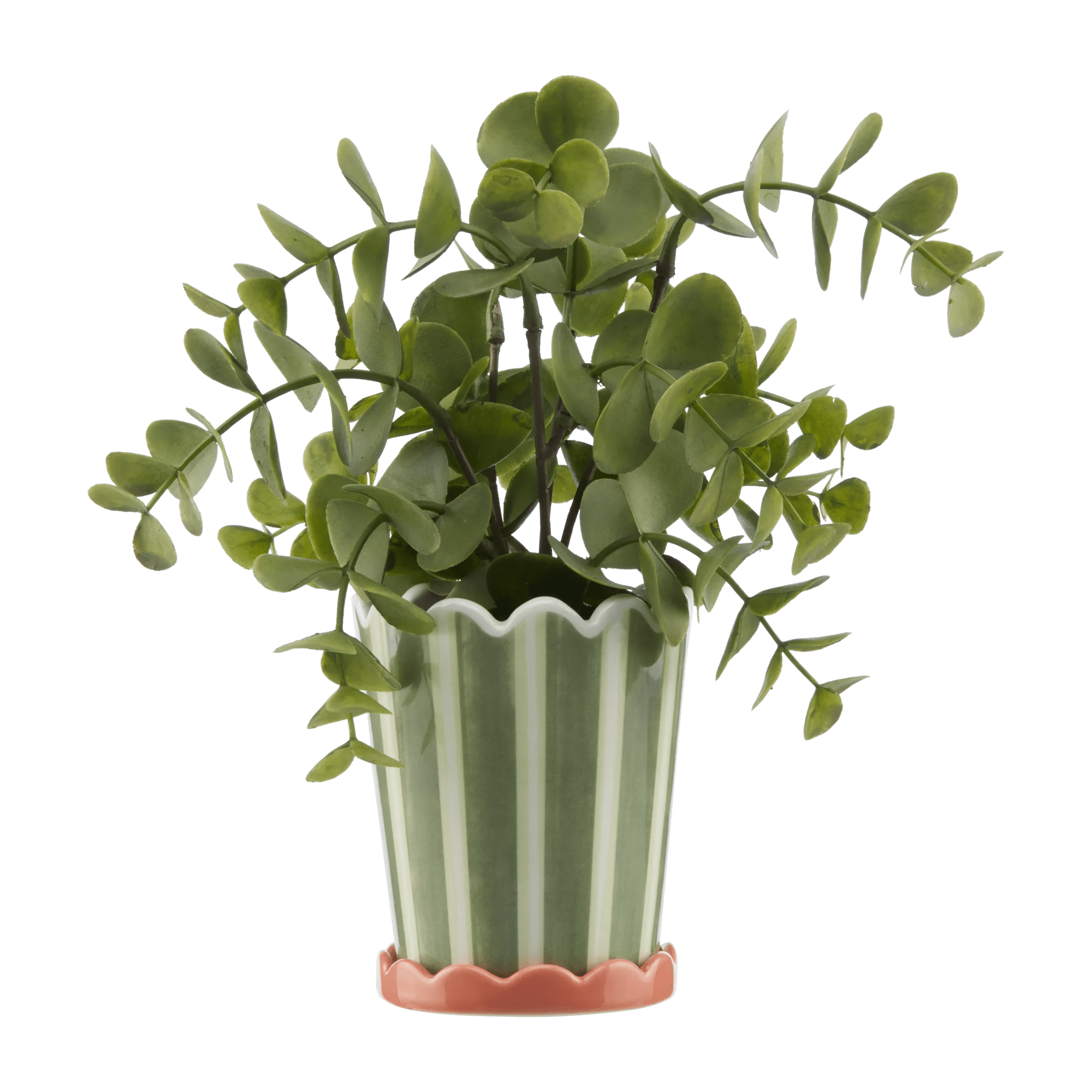 Plante décorative verte en pot rayé