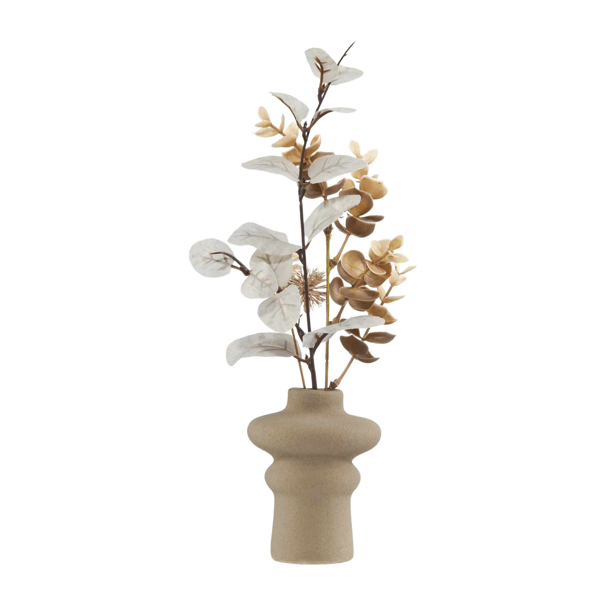 Mélange de feuilles en mini-pot