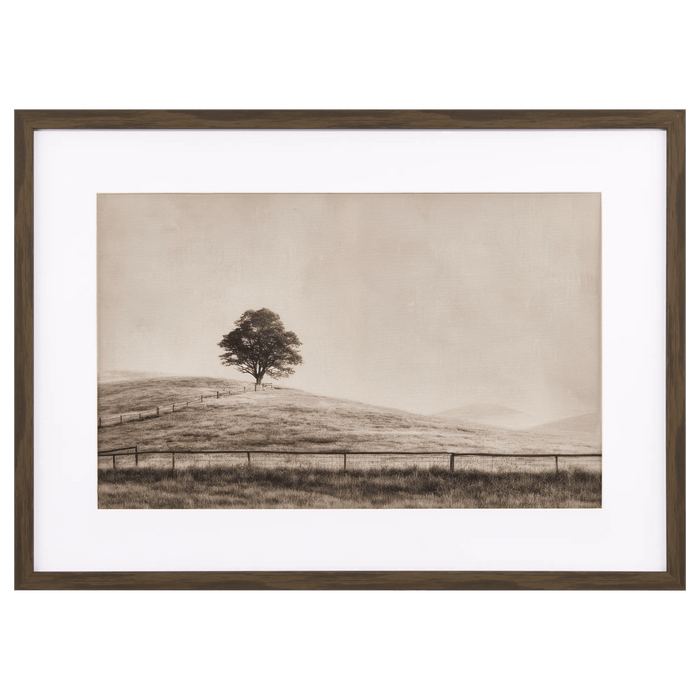 Single Tree Landscaped printed Canvas Under glass