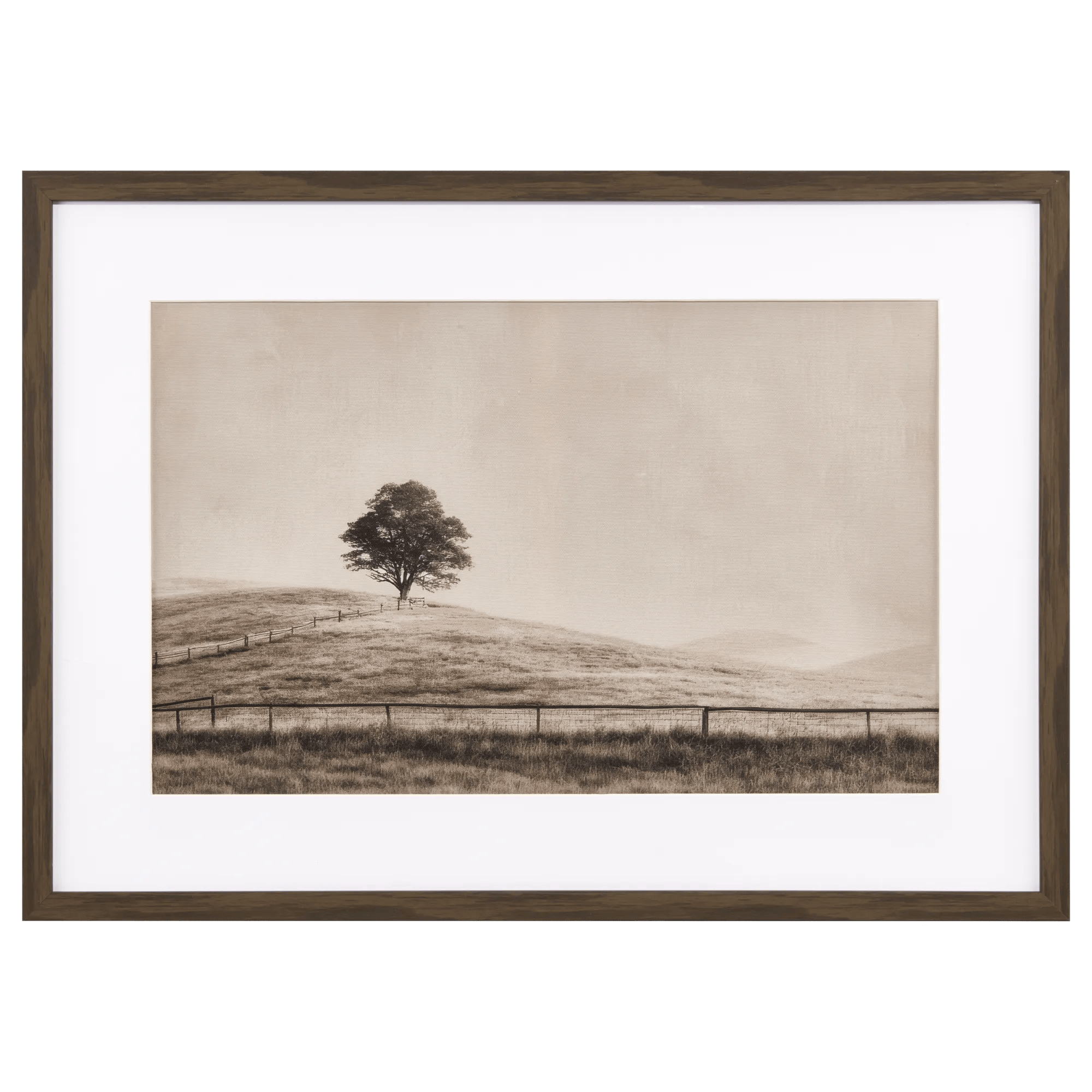 Single Tree Landscaped printed Canvas Under glass