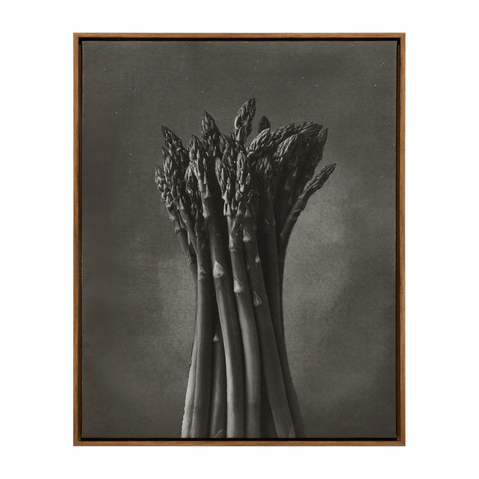 Cadre imprimé d'un asperge