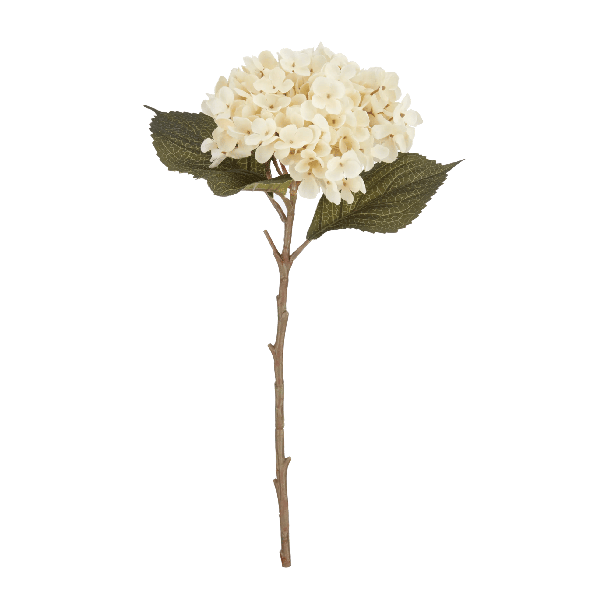 Off White Hydrangea Stem