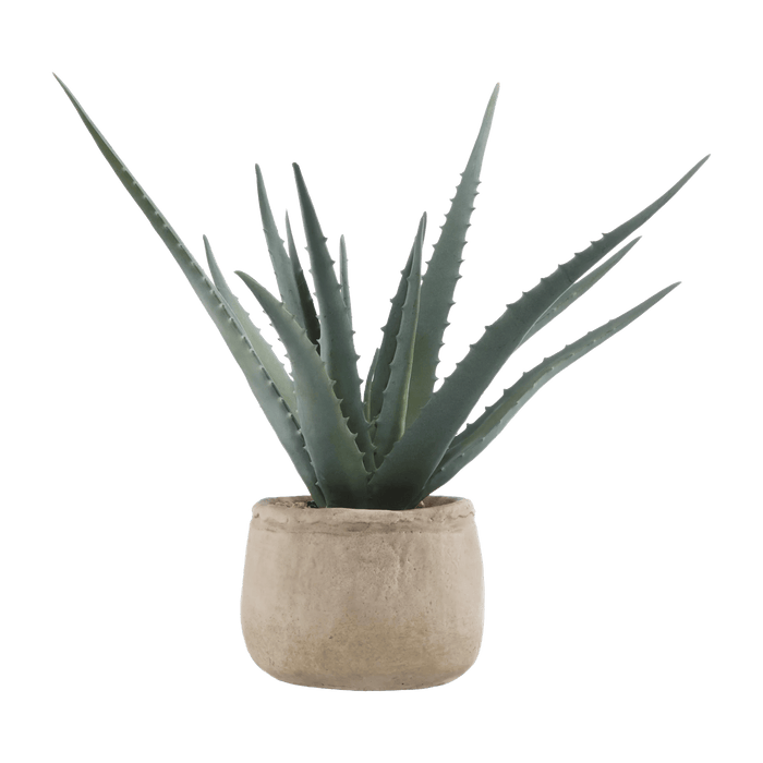 Artificial Aloe in Cement Pot