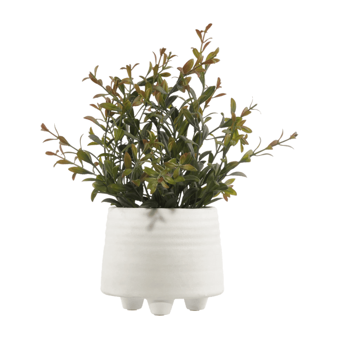 Artificial Grass in White Ceramic Pot