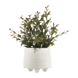 Blanc cassé