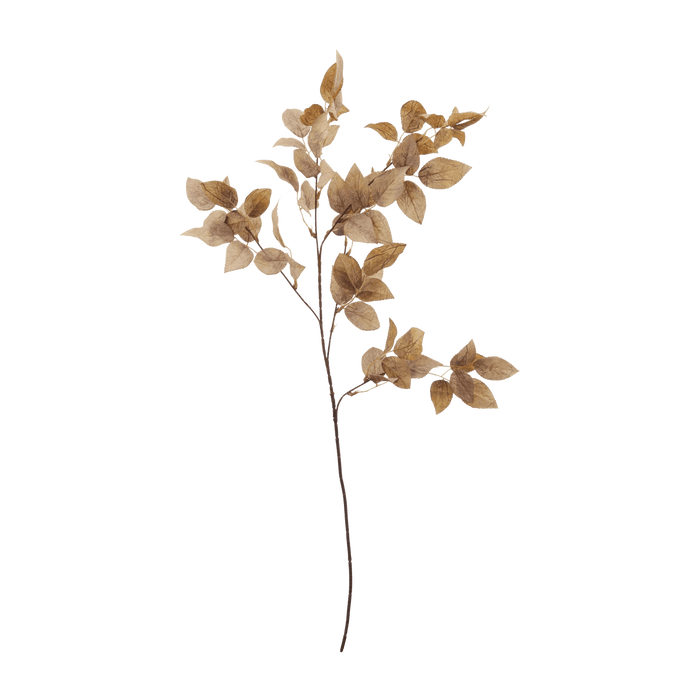 Rose Leaves Stem