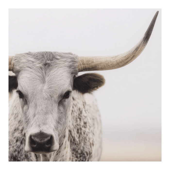 Cadre imprimé d'un vache Longhorn
