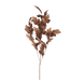 Rust