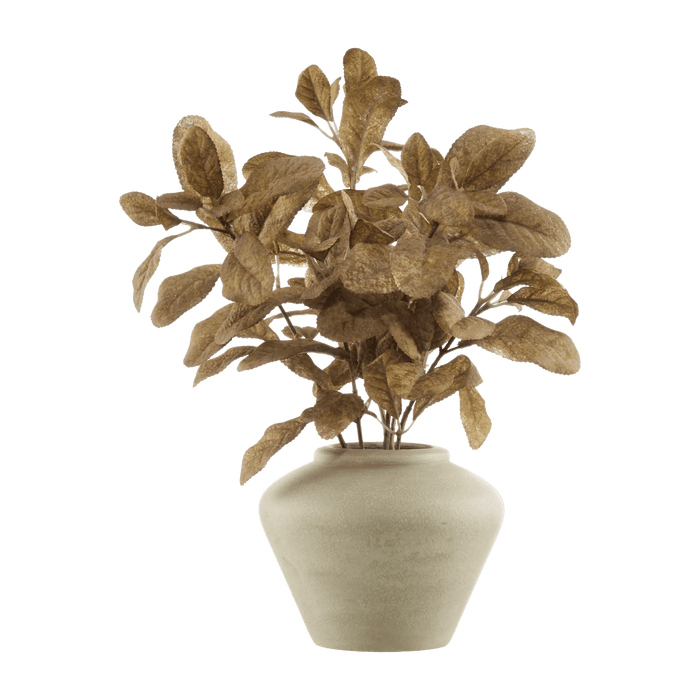 Brown Lemon Leaf Potted Plant