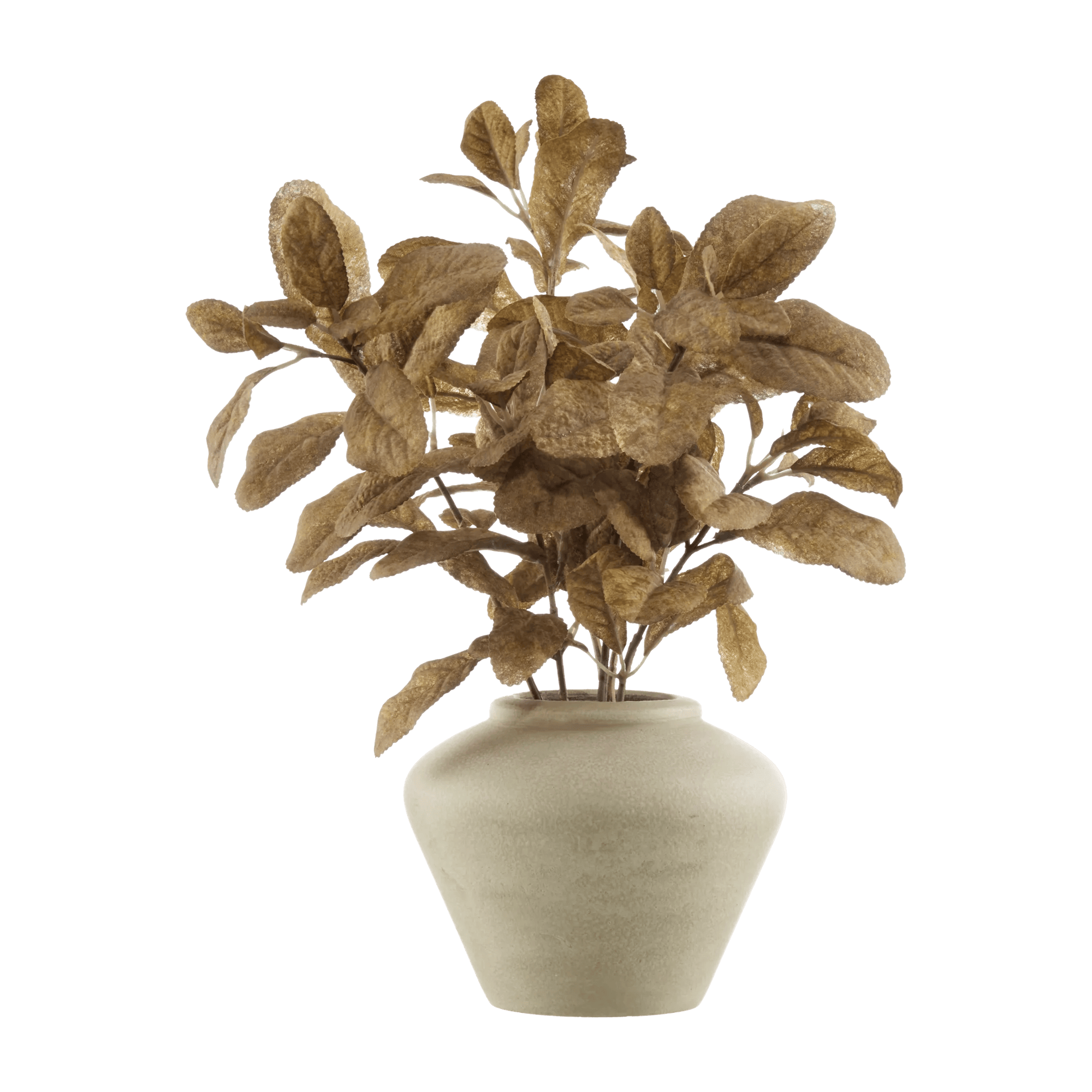 Brown Lemon Leaf Potted Plant